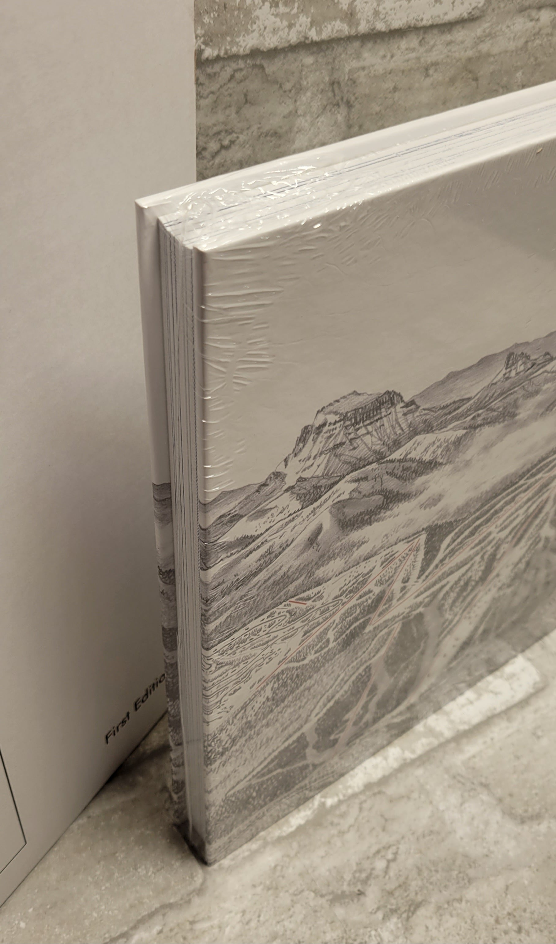 The Man Behind the Maps : Legendary Ski Artist James Niehues (8066273968366)